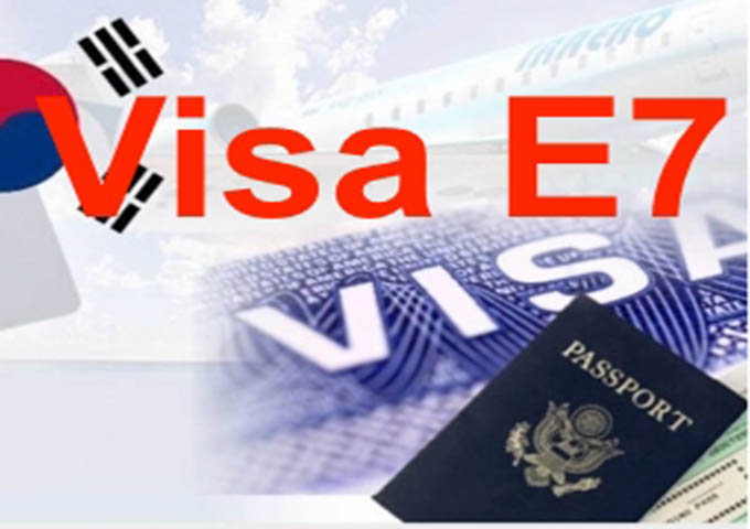 Visa E7 là gì?