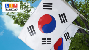 Visa Hàn Quốc 1 năm và thủ tục xin visa như thế nào?