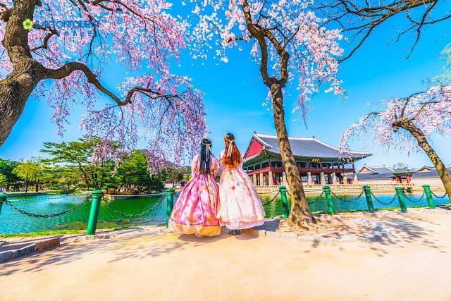 Xin được visa C3 thỏa mãn giấc mơ du lịch Hàn Quốc